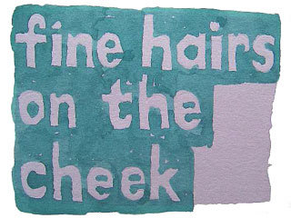 fine hairs on the cheek