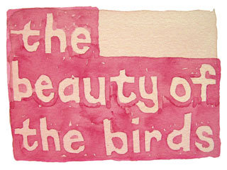 the beauty of the birds