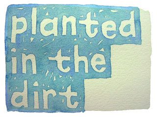 planted in the dirt