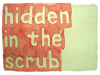 hidden in the scrub
